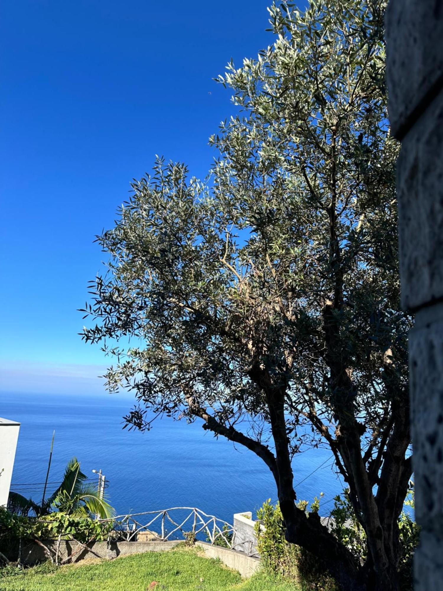Cozy Sea View House Faja Da Ovelha Βίλα Calheta  Εξωτερικό φωτογραφία